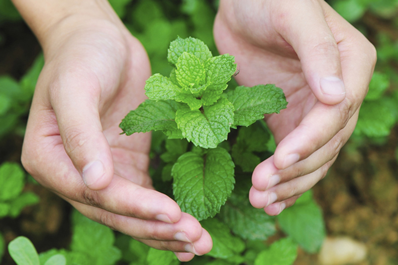 beskrivande bildtext